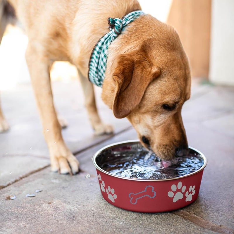 Loving Pets Bella Dog Bowls- Stainless Steel Dog & Cat Bowls - Spill Proof Dog Food Bowl, Cat Bowl, Puppy Essentials & Pet Supplies Great for Home & Travel (Small 10-20 lbs, Merlot) - Image 5